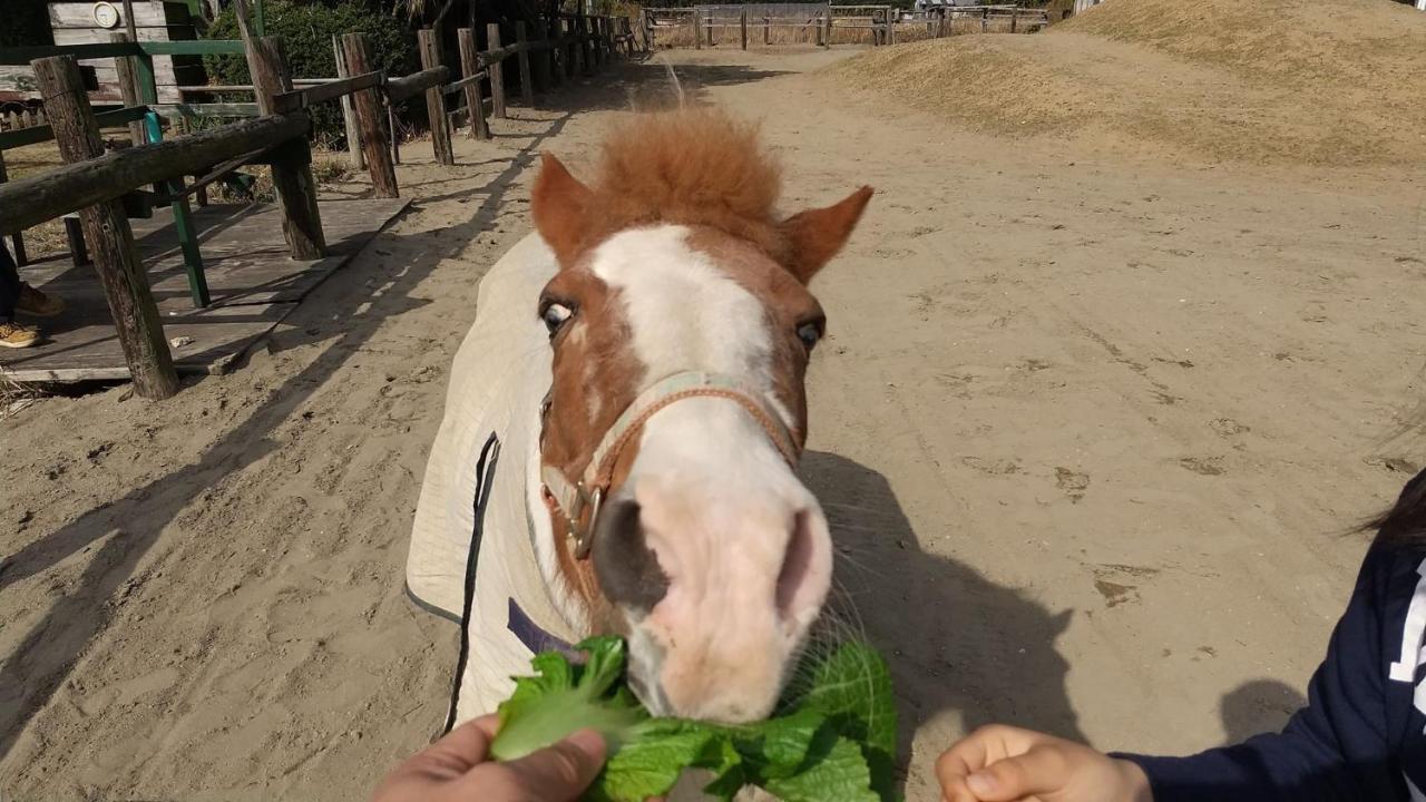 海辺のゲストハウスーぽかぽか村ー 이세 외부 사진